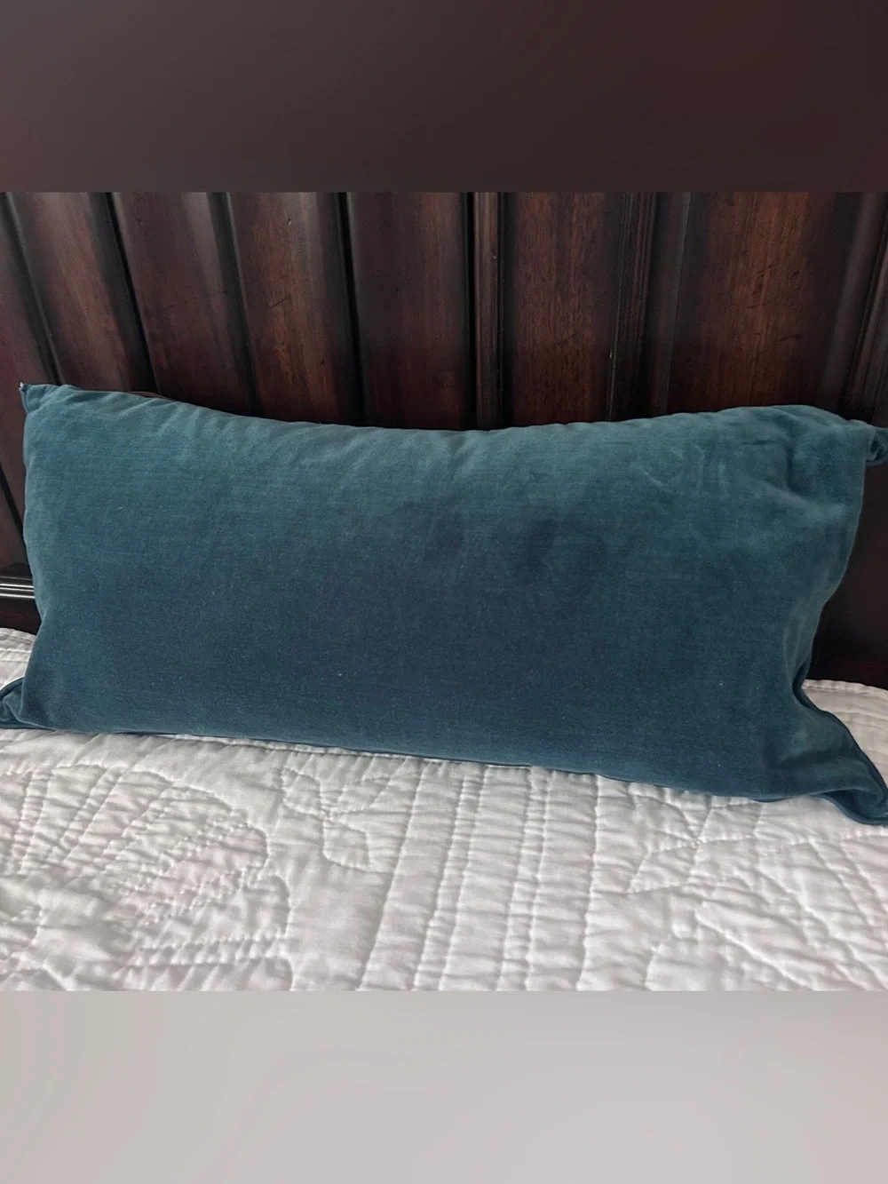 Pottery Barn pillow cover